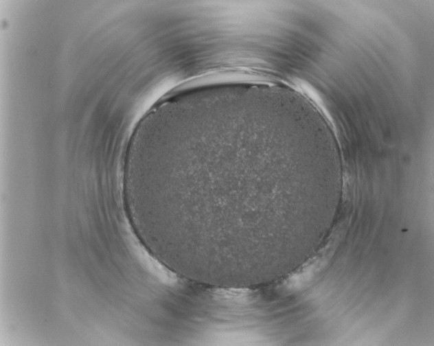 X0000088430859200705221245