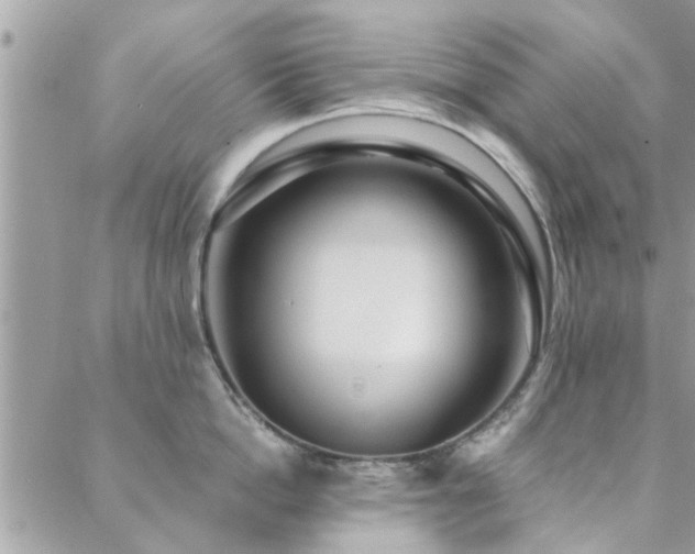 X0000088430862200705221245