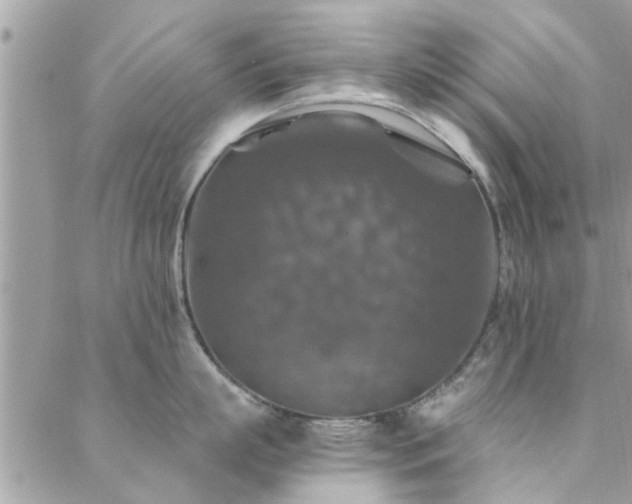 X0000088430863200705221245