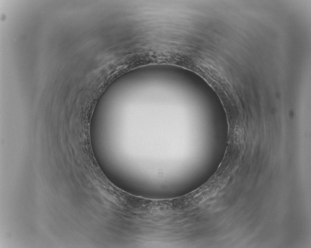 X0000088430865200705221245