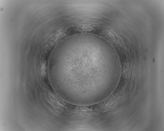 X0000088430866200705221245