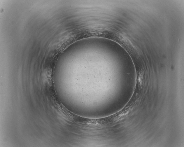 X0000088430867200705221245