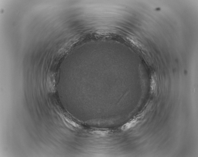 X0000088430868200705221245