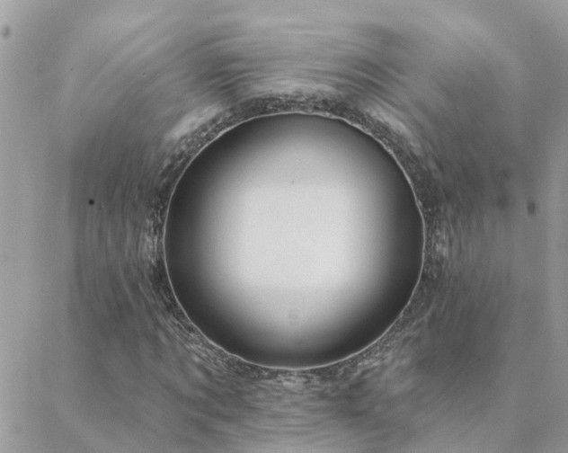 X0000088430869200705221245