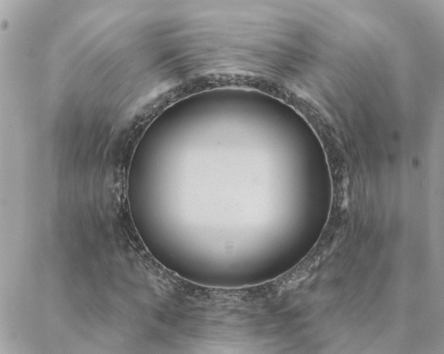 X0000088430870200705221245