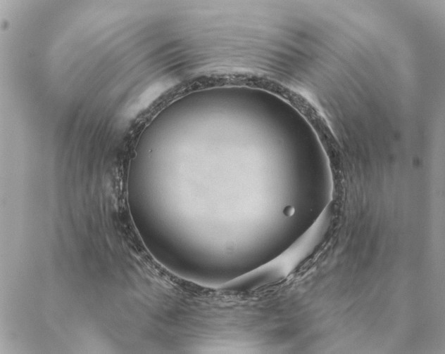 X0000088430871200705221245