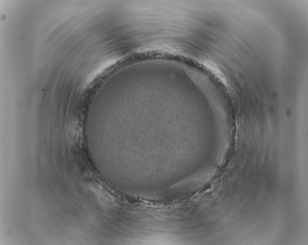 X0000088430872200705221245