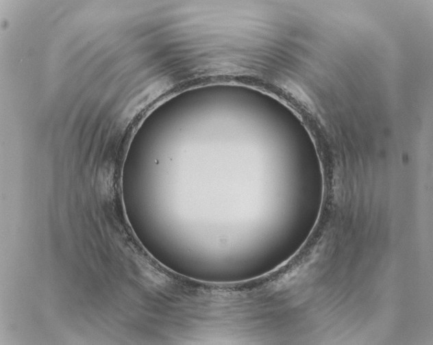 X0000088430873200705221245