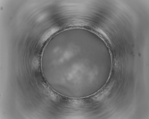 X0000088430874200705221245