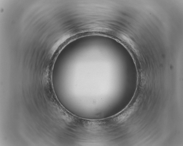 X0000088430875200705221244