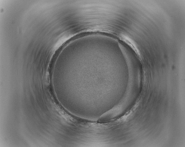 X0000088430876200705221244