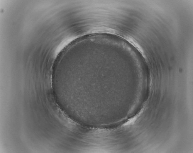 X0000088430877200705221244