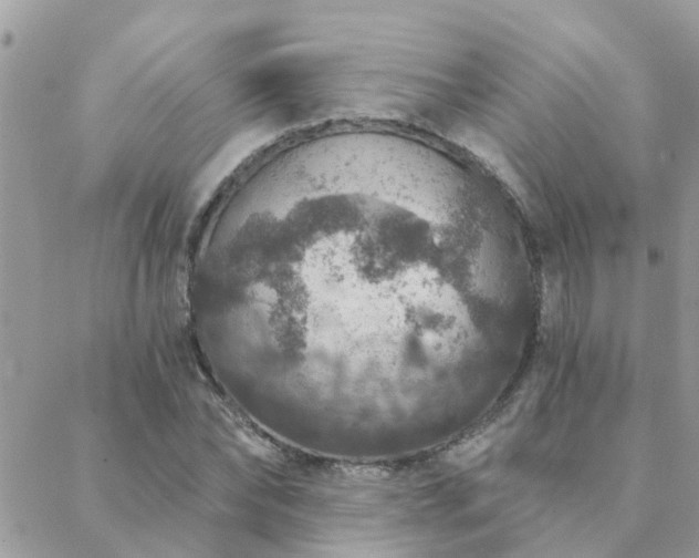 X0000088430878200705221244