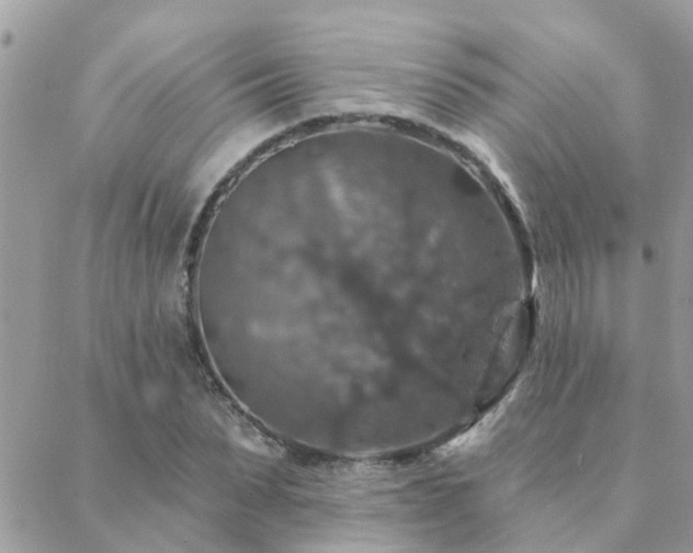 X0000088430879200705221244