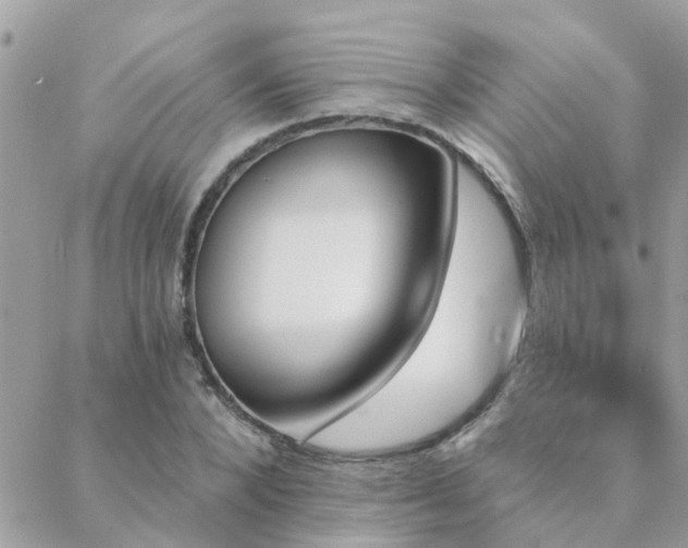 X0000088430880200705221244