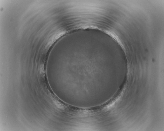 X0000088430881200705221244