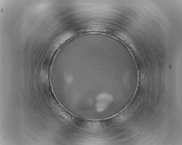 X0000088430882200705221244