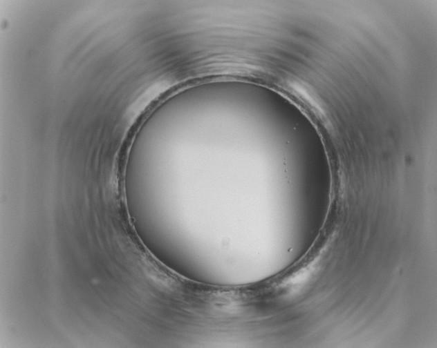 X0000088430883200705221244