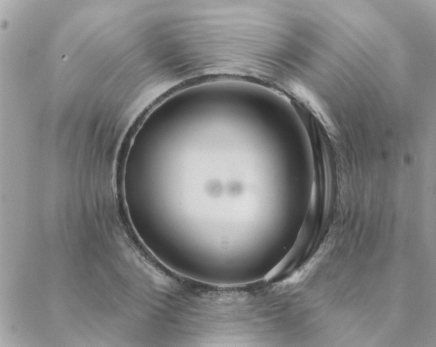 X0000088430884200705221244