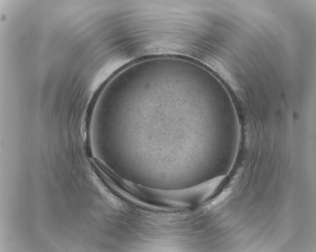 X0000088430885200705221244