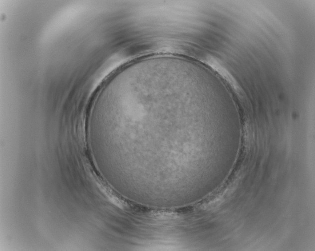 X0000088430886200705221244