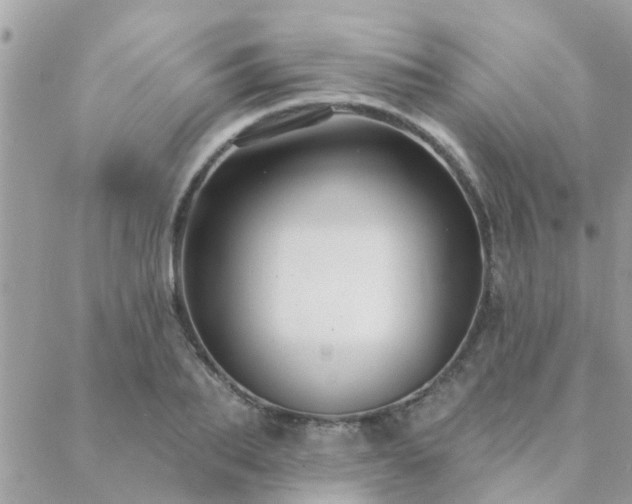 X0000088430887200705221244