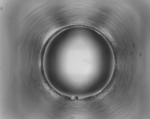 X0000088430888200705221244