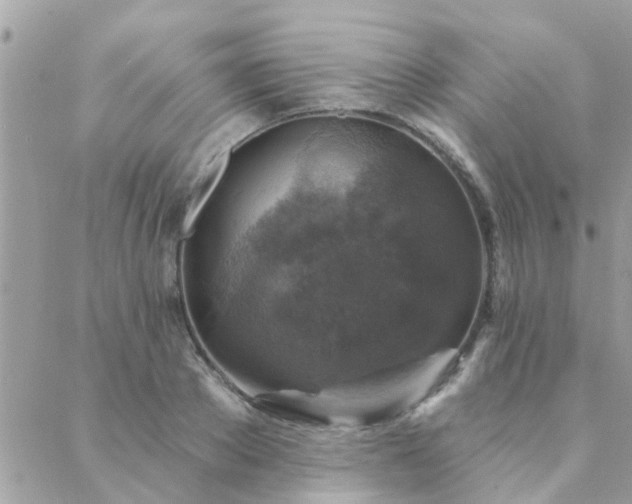 X0000088430889200705221244