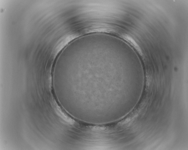 X0000088430890200705221244