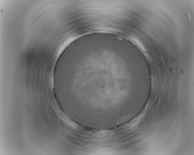 X0000088430891200705221244