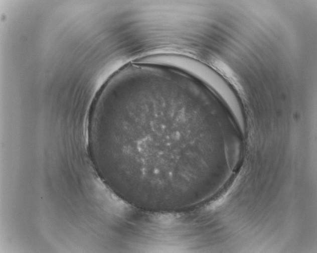 X0000088430892200705221244