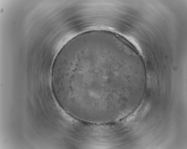 X0000088430895200705221244