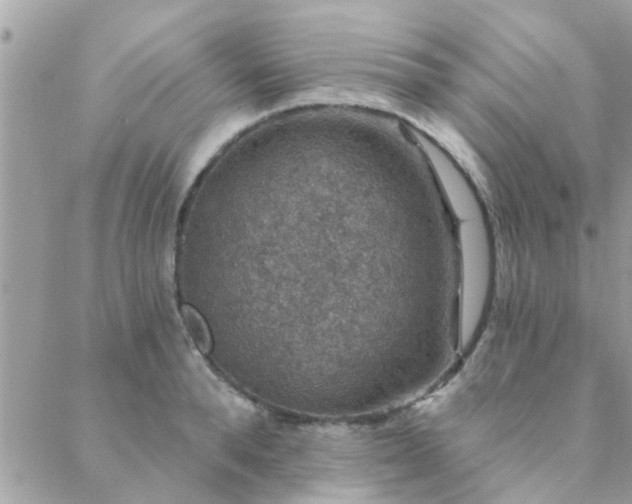 X0000088430896200705221244