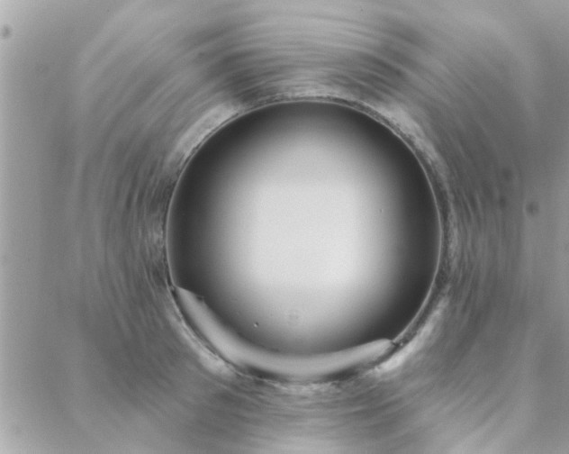 X0000088430897200705221244