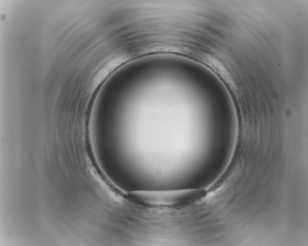 X0000088430898200705221244