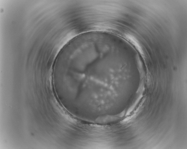 X0000088430899200705221244