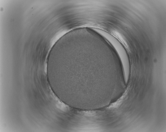 X0000088430900200705221244