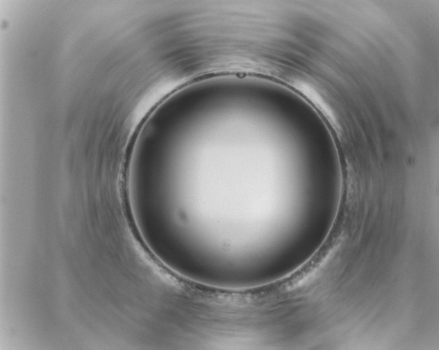 X0000088430901200705221244