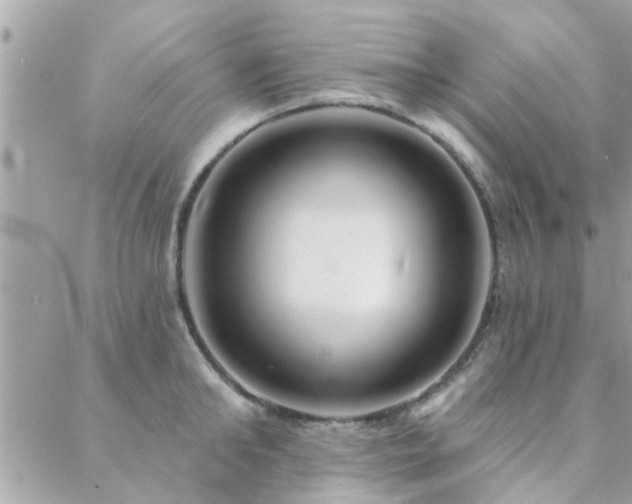 X0000088430902200705221244