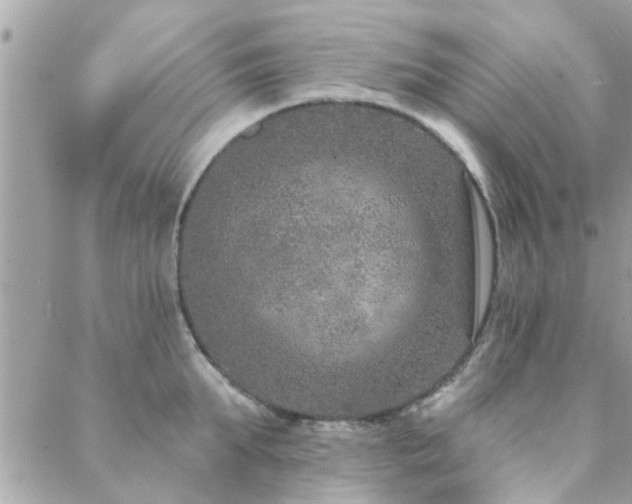 X0000088430903200705221244