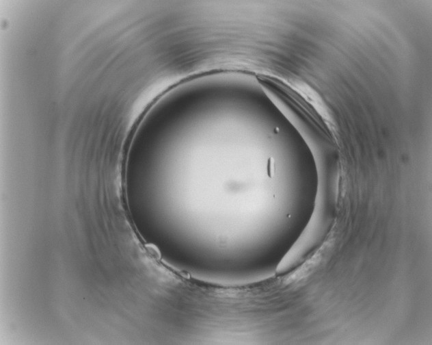 X0000088430904200705221244