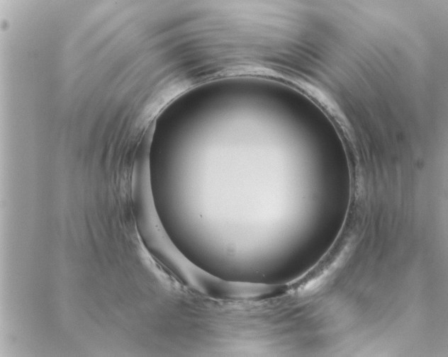 X0000088430905200705221244