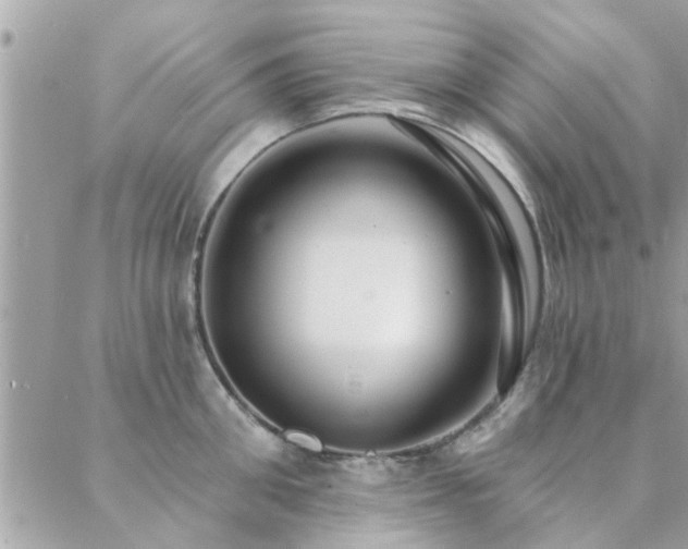 X0000088430906200705221244