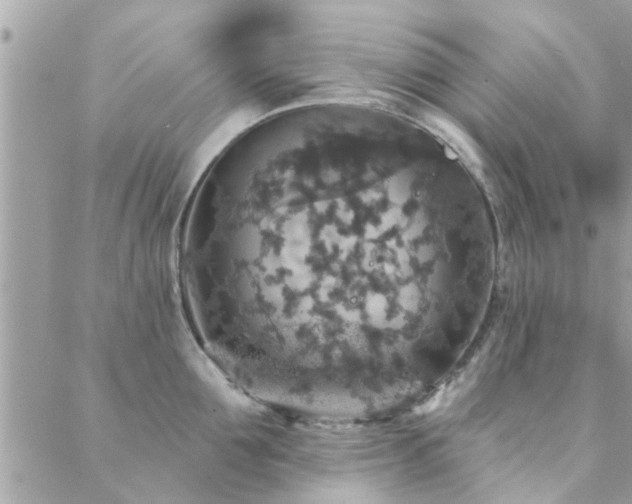 X0000088430907200705221244