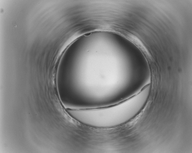 X0000088430908200705221244