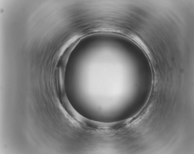 X0000088430909200705221244