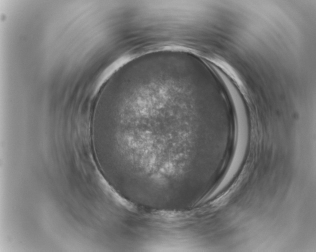 X0000088430910200705221244