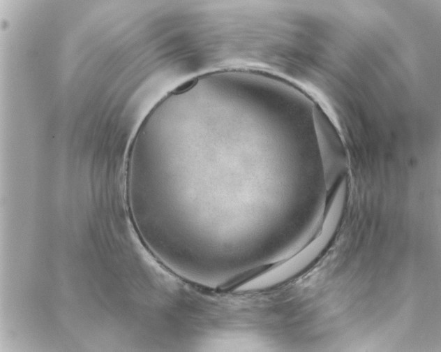 X0000088430911200705221244