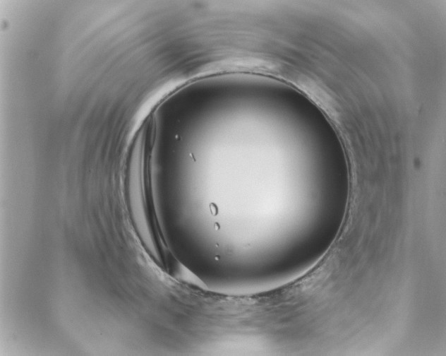 X0000088430912200705221244