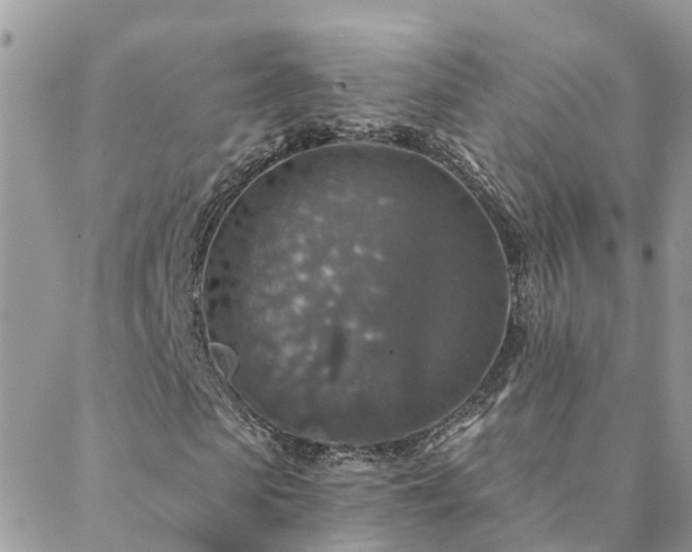 X0000088430913200705221243